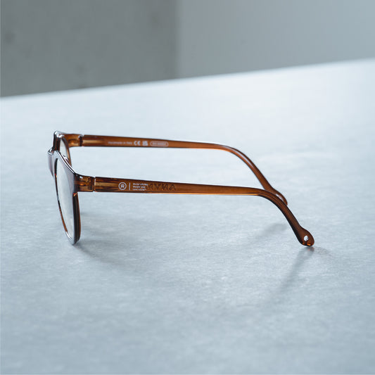 ALBA OPTICS/ANVMA 調光レンズ サングラス Brown