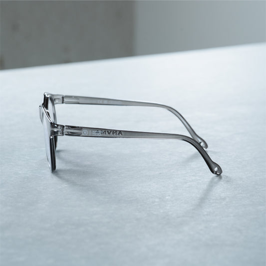ALBA OPTICS/ANVMA 調光レンズ サングラス BLACK GLOSSY
